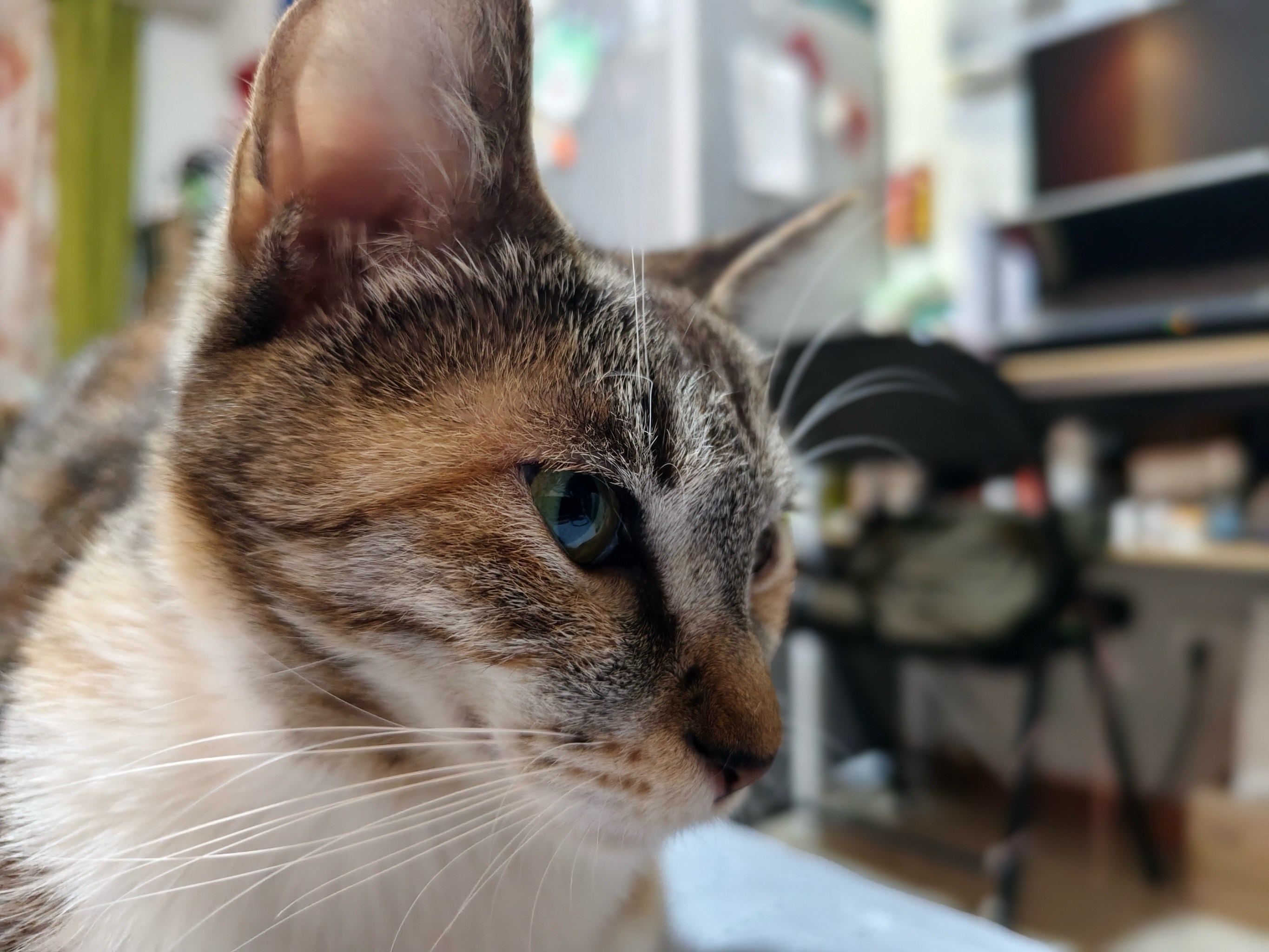 九游体育-墣泌/絺?=鄃"'